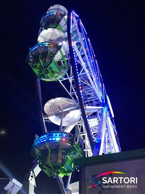 Thrilling Rides that Spark Enthusiasm: A Journey through Carousels and Ferris Wheels