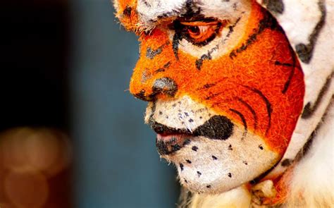 Tigers in Mythology and Folklore: Exploring Cultural Perspectives