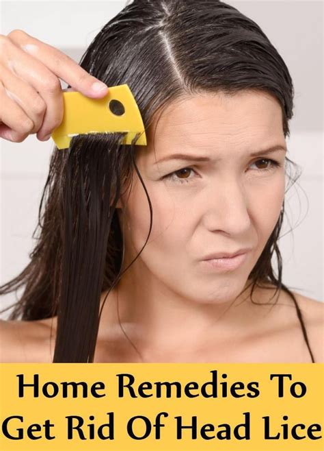 Tips and Tricks for Effective Hair Maintenance to Prevent and Treat Louse Infestation