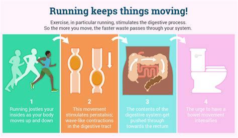 Tips and Tricks for Enhancing Bowel Movement Efficiency