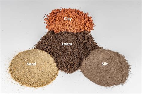 Tips for Analyzing Your Vision of Silt On The Ground