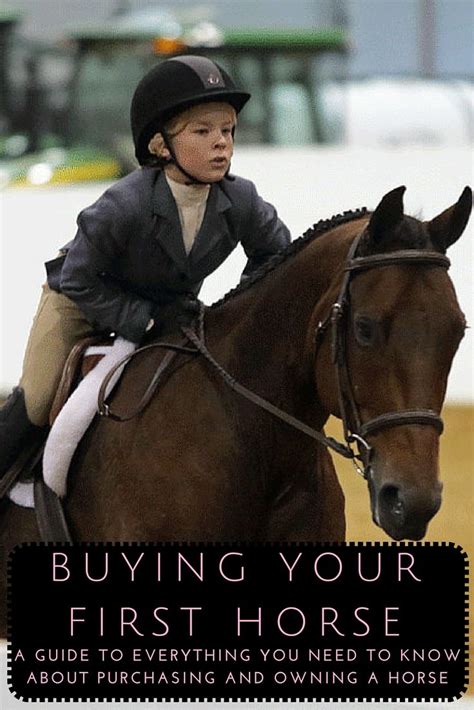 Tips for Bringing Your Horse Ownership Dream to Life