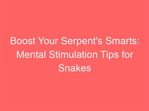 Tips for Caring for and Maintaining Your Serpent Body Art