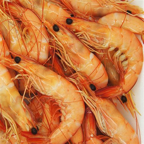 Tips for Choosing Freshly Caught Prawns to Complement Your Gastronomic Experience