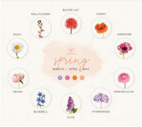 Tips for Choosing the Freshest Blooms: An Essential Guide