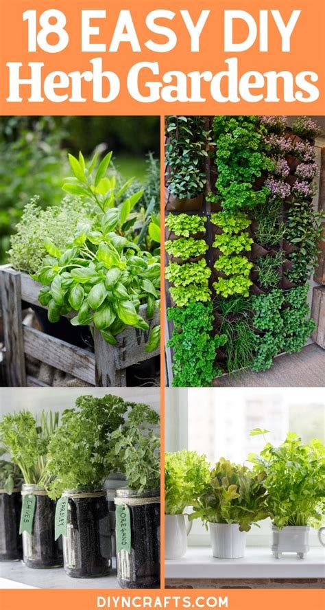 Tips for Cultivating the Golden Herb in Your Own Gardening Space