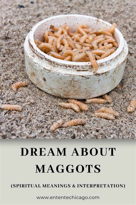 Tips for Dealing with and Gaining Insights from Dreams Involving the Emergence of Maggots from One's Feet