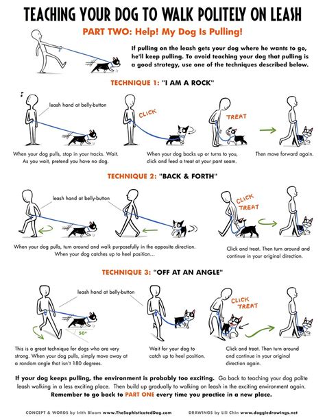 Tips for Effective Canine Instruction