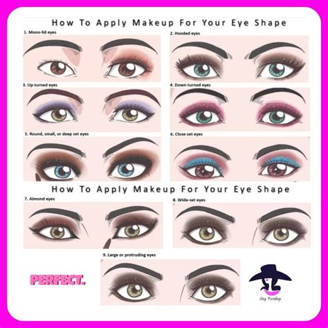 Tips for Enhancing Your Eye Shape with the Perfectly Applied Eyeshadow