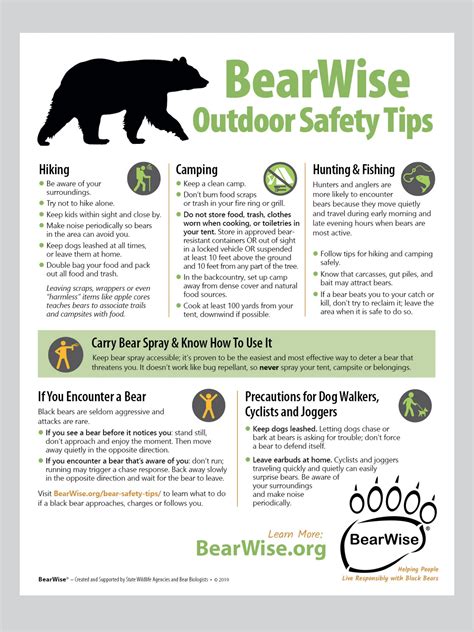 Tips for Ensuring Safety During Bear Encounters in the Great Outdoors