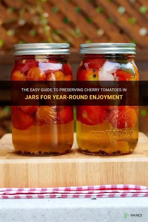 Tips for Harvesting and Preserving Tomatoes for Year-Round Enjoyment