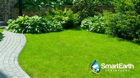 Tips for Maintaining a Thriving and Lively Lawn