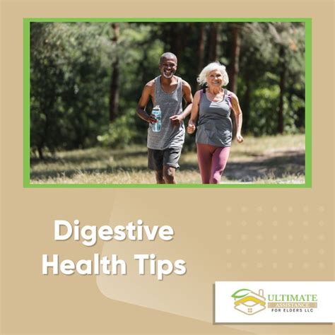 Tips for Managing Dreams of Regular Digestive Activity