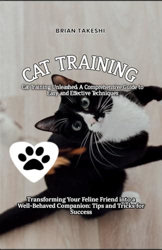 Tips for Training Graceful Siamese Cats into Well-Behaved Companions