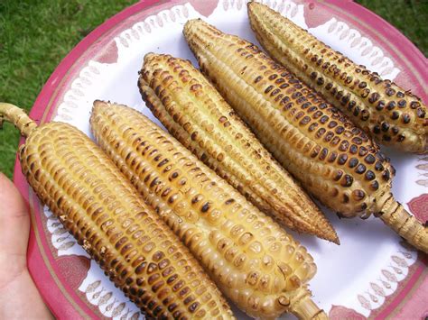 Tips for the Perfect Roasted Maize: From Selection to Seasoning