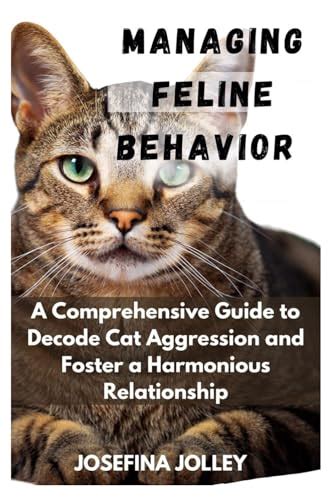 Tips to Analyze and Decode Fantasies of Dark Feline Aggression