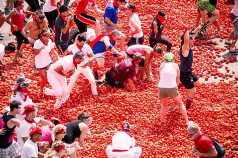 Tomato Festivals: Celebrating the Splendor of the Harvest Season