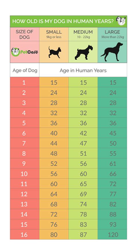 Toveyah's Age: How Many Years has She Lived?