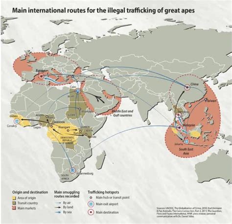 Tracking the Illegal Trade: A Global Problem