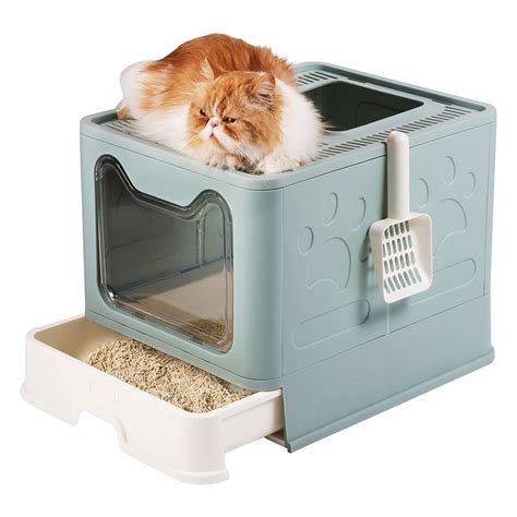 Train Your Pet to Utilize a Litter Box for Indoor Waste Management