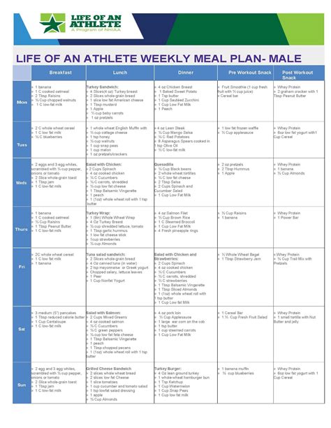 Training Regimen and Nutrition Plan of Danielle Petty