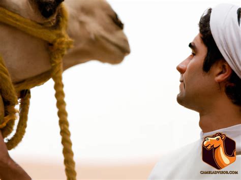 Training Your Camel: Tips for Building a Strong Bond