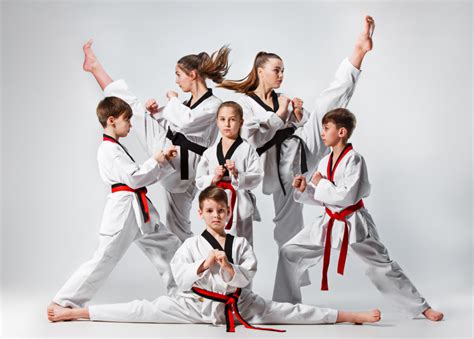 Training and Martial Arts Skills