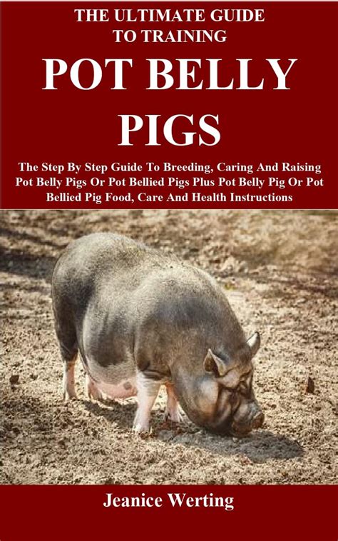 Training and Socializing Your Pot Belly Pig: Essential Tips