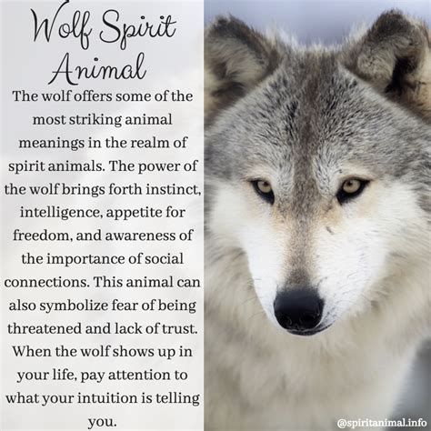 Transform Your Life with the Spirit of the Wolf