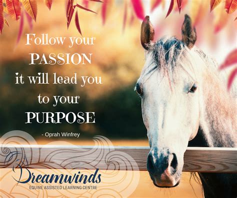 Transforming Passion into a Fulfilling Career: Expanding your Love for Equines