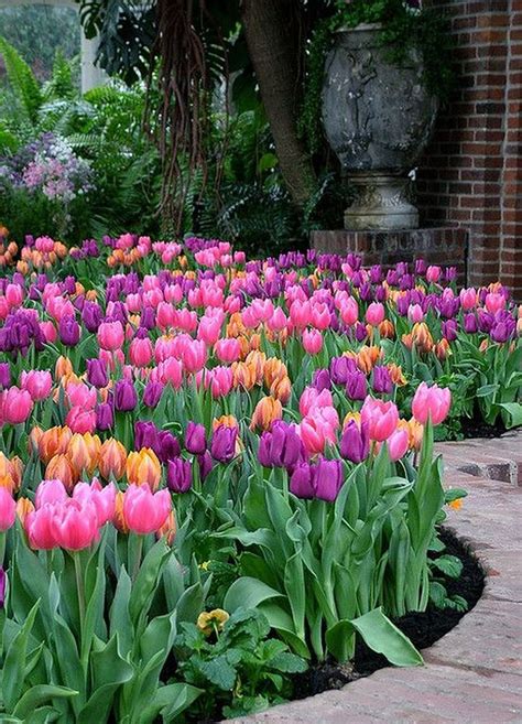 Transforming Your Home and Mood with the Beauty of Tulips