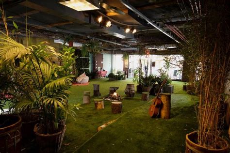 Transforming an Empty Space into a Green Oasis