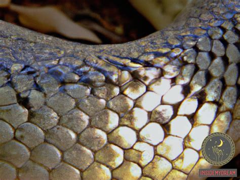 Transforming and Renewing: The Symbolism of Shedding Skin in Snake Dreams