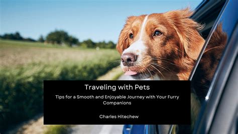 Traveling with Your Shelled Companion: Tips for a Smooth Journey