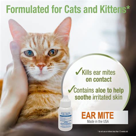 Treating Ear Mites: Over-the-Counter and Prescription Options