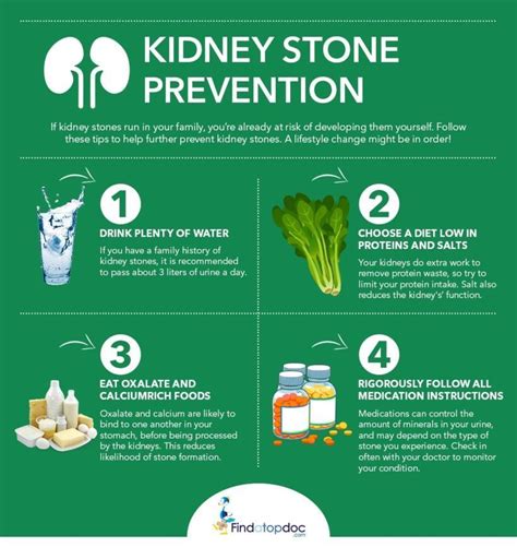 Treatment Options: How to Manage and Prevent Kidney Stones?