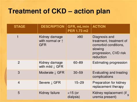 Treatment Options for Renal Infection: Medications and Therapies