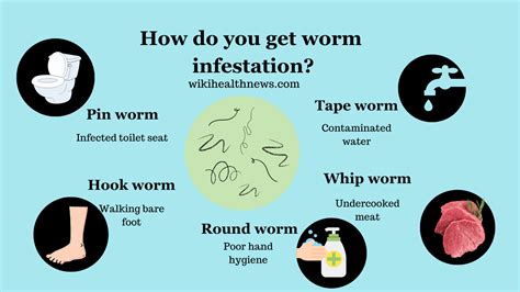 Treatment Options for Worm Infestation in the Knee