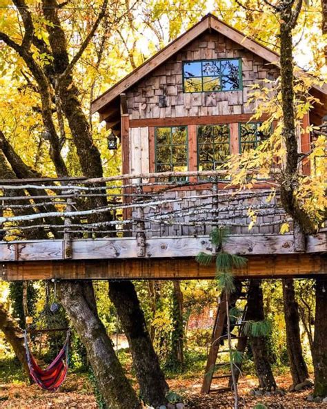 Treehouse Retreats: Unconventional Lodgings for Unforgettable Experiences