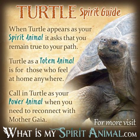 Turtles as Symbolic Creatures in Various Cultures and Beliefs