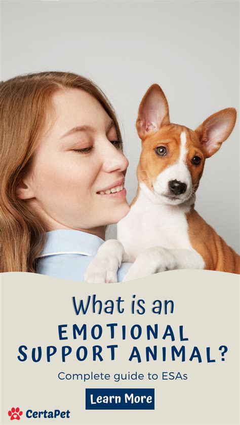 Unconditional Love: Exploring the Emotional Support Dogs Provide