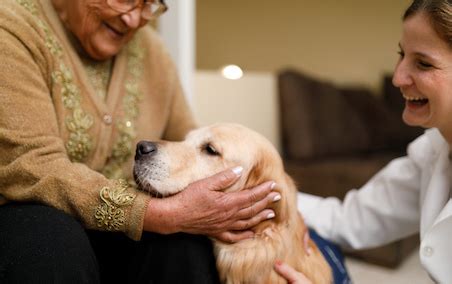 Unconditional Love and Companionship: The Delights of Having a Canine Companion
