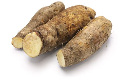 Uncover the Enigmatic Potential of Yam Seeds for an Exuberant Garden