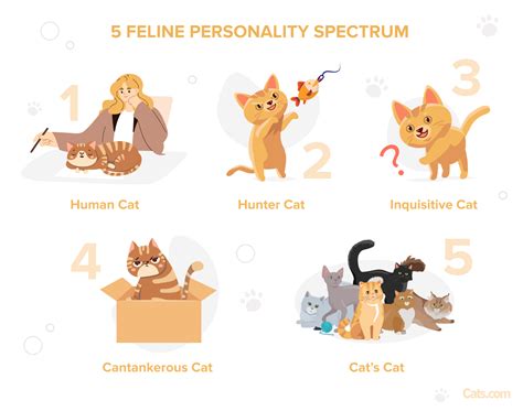 Uncovering Hidden Desires and Personality Traits through Human Cat Dreams