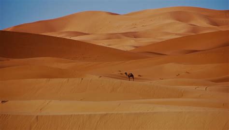 Uncovering Hidden Treasures: What Lies Beneath the Dusty Surface