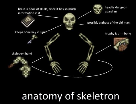 Uncovering Skeletron's Personal Details