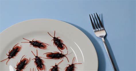 Uncovering the Depths of the Psyche: Insights into Dreams of Cockroach Feces
