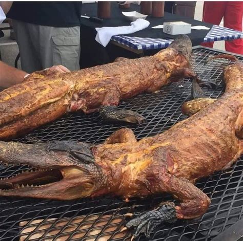 Uncovering the Enigma: Decoding the Distinctive Flavor of Alligator Cuisine