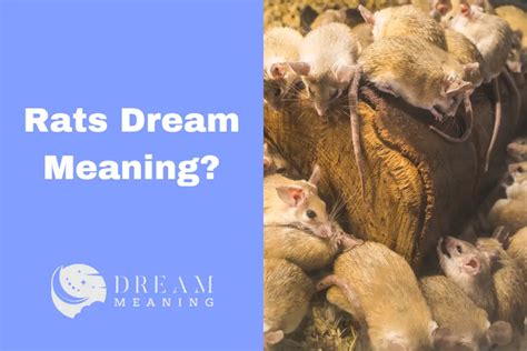 Uncovering the Hidden Meaning: Deciphering Rat Dreams