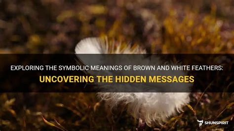 Uncovering the Hidden Messages: Decoding Symbolic Communication Revealed in the Act of Elevating an Infant